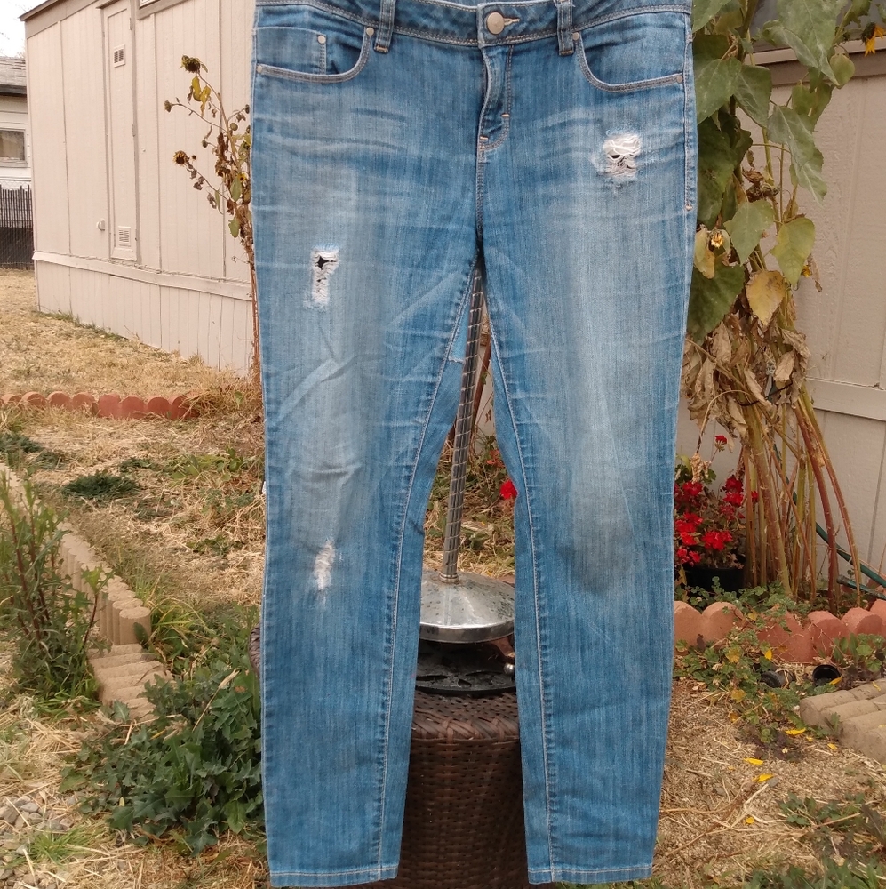 lc lauren conrad Sz 6 stretch straight leg blue jeans